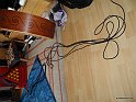 DSCN0254