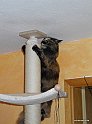 DSCN0276